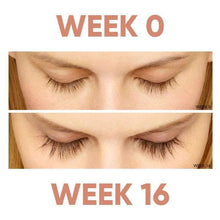 Load image into Gallery viewer, The Venus Lash FEG Eyelash Growth Enhancer
